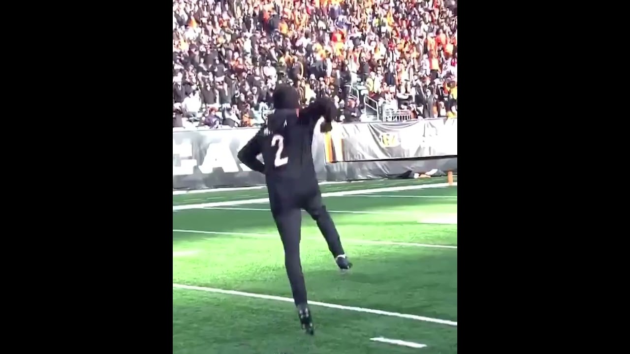 Watch What Happens When He Attempts This Jaw-Dropping 40-Yard Field Goal! 😳 (via @bengals/IG)